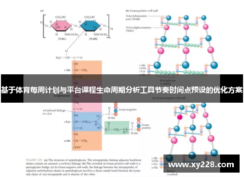 基于体育每周计划与平台课程生命周期分析工具节奏时间点预设的优化方案