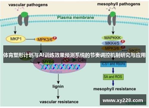 体育塑形计划与AI训练效果预测系统的节奏调控机制研究与应用